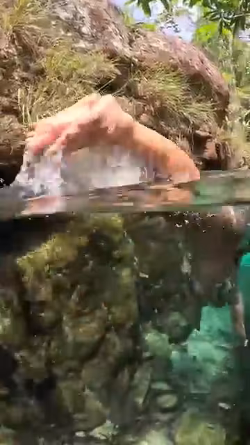 Swimming In The Wild – AI-generated video on AITube