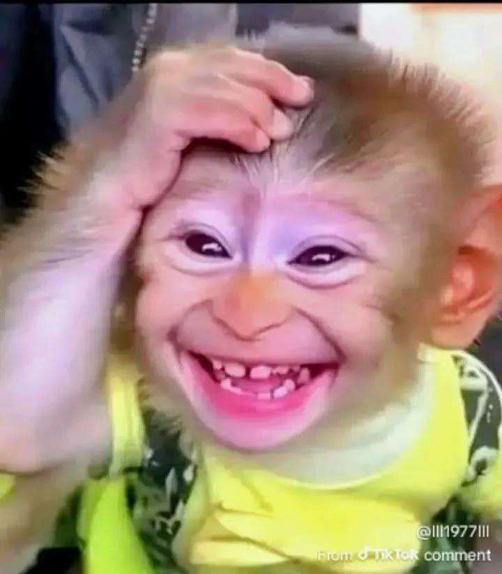 No laugh? No sense, – AI-generated video on AITube