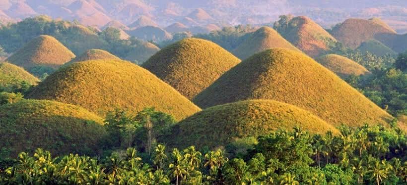 Chocolate Hills