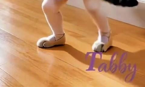 Tabby's Got the Moves!