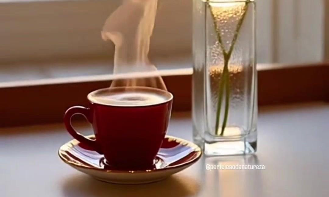 Chai 🍠 mehfil – AI-generated video on AITube