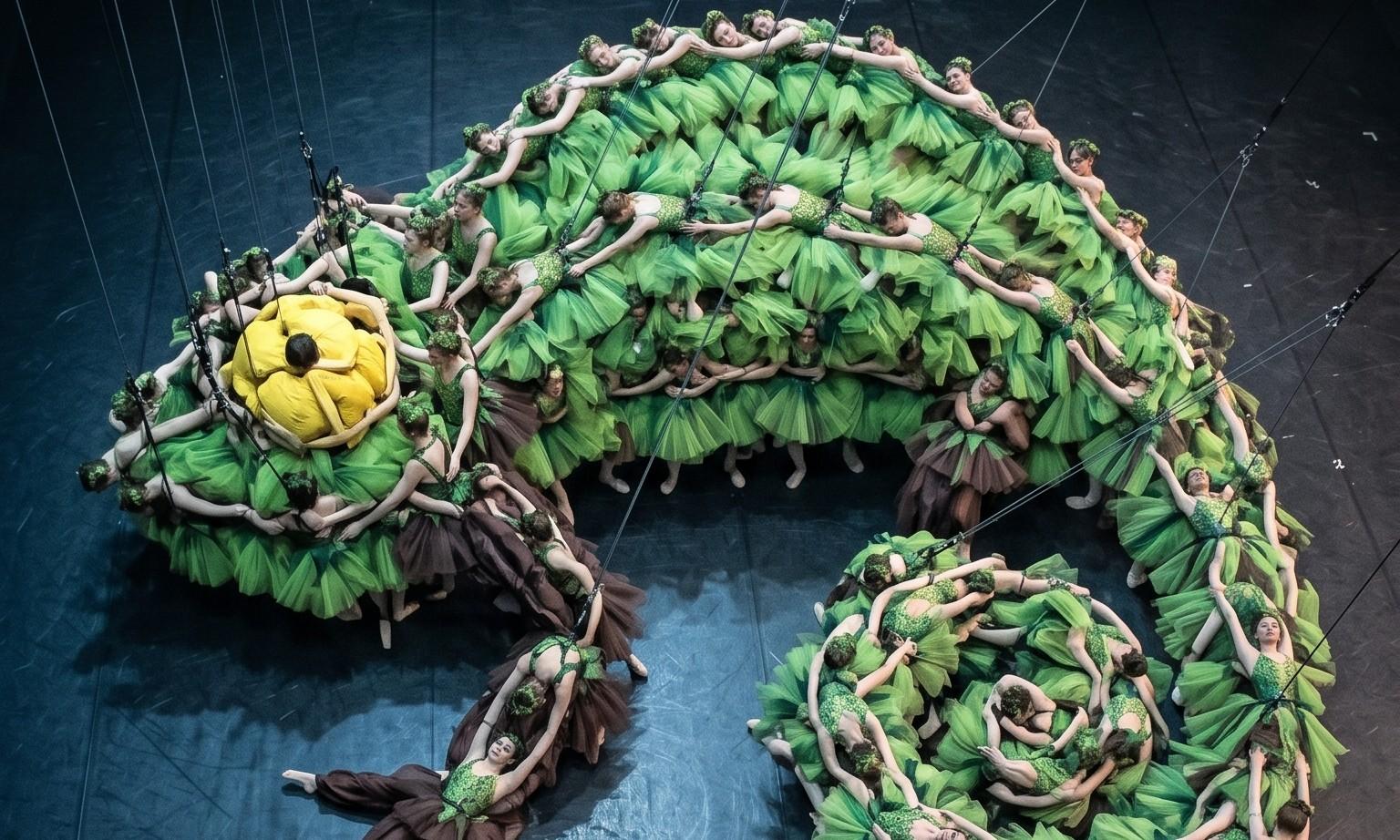 This Giant Chameleon Illusion Made Entirely of Dancers Will Blow Your Mind! – AI-generated video on AITube